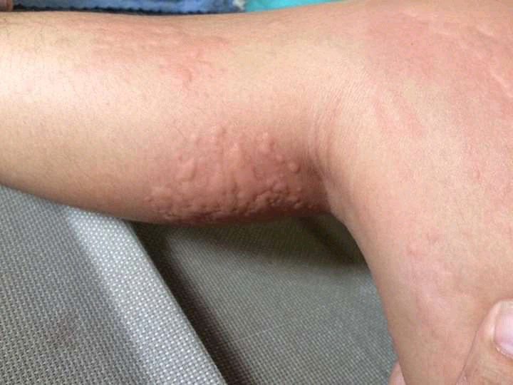 Pitcher Lemon Tea/ Teko Kaca Besar