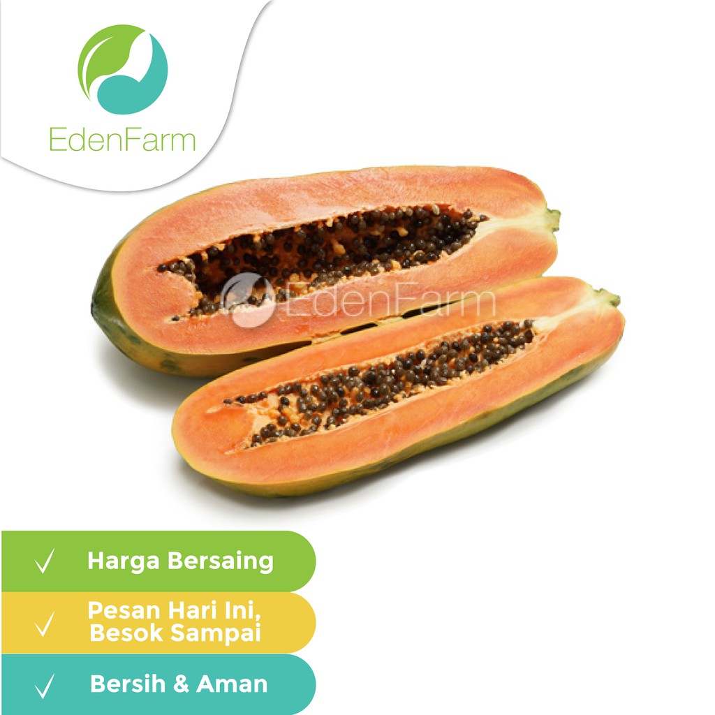 

Pepaya California (0 8-1 2kg/pcs) Eden Farm