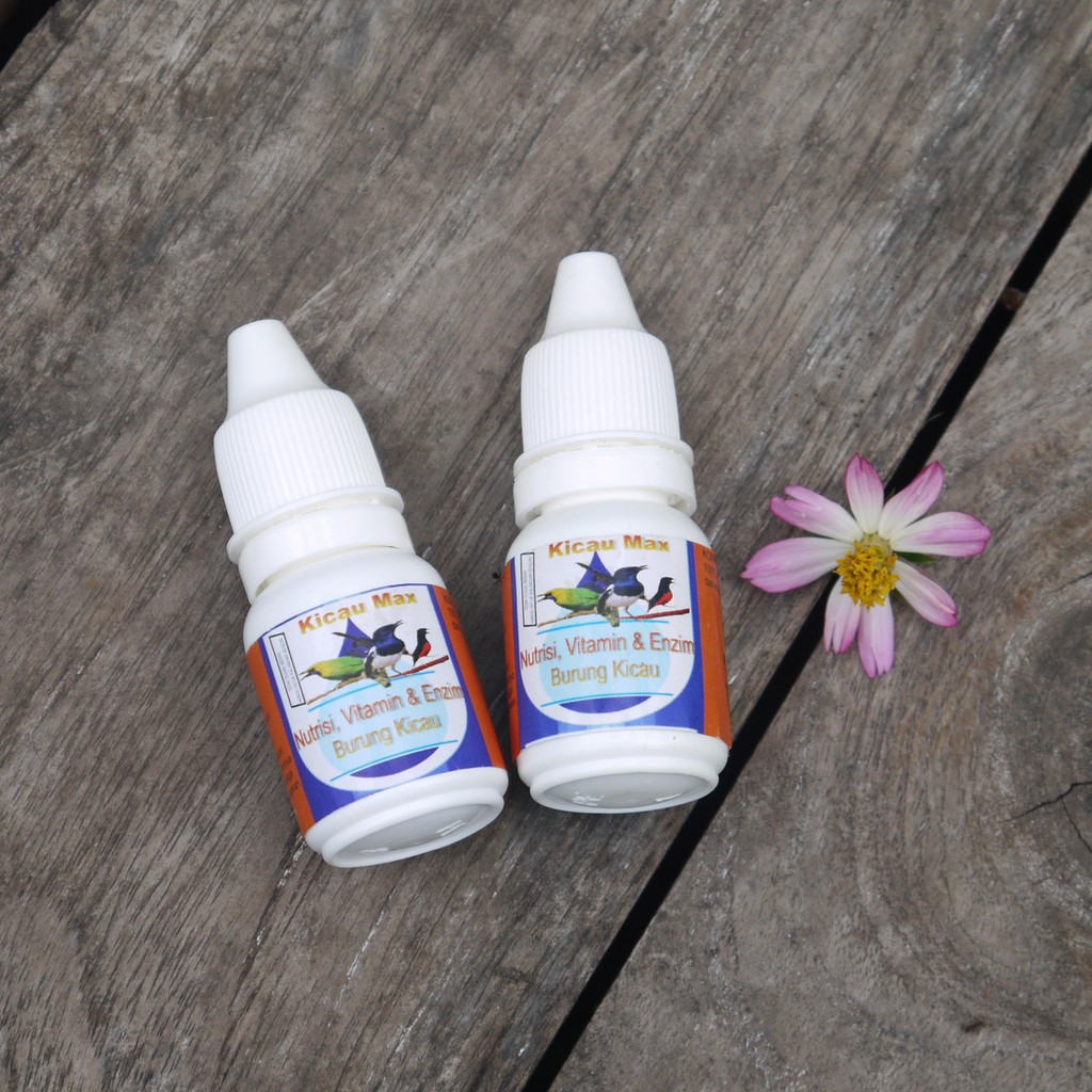 Formula Doping burung murai anis merah kacer anis kembang CAMADA KING VOICE - VITAMIN STAMINA LOMBA-Kicau max