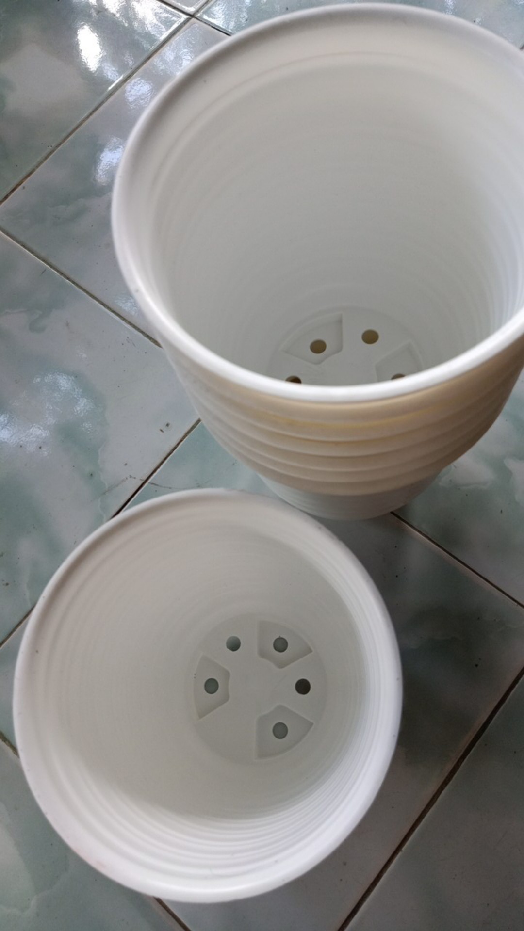 Pot Tirus 18 Pot Pirus My Honey 18 Gbl Putih Glossy