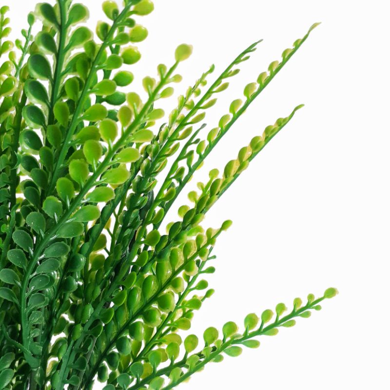 Daun Plastik Pakis Petai Mini AL27 Bracken Fern Tanaman Semak Paku Hiasan Seserahan Hantaran Hampers