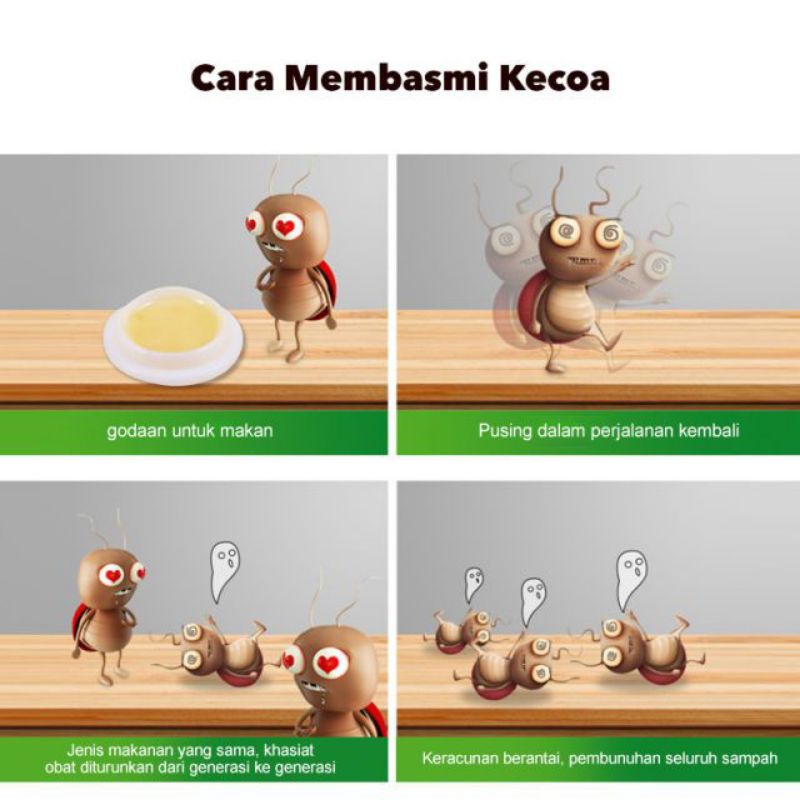 pembasmi kecoa serangga /pasta pembasmi kecoa ampuh