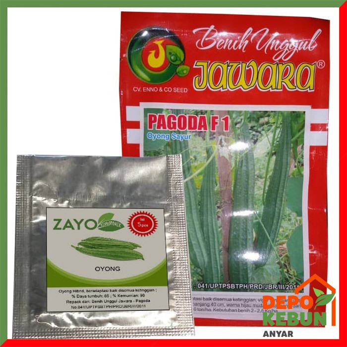 BENIH OYONG / BIBIT OYONG