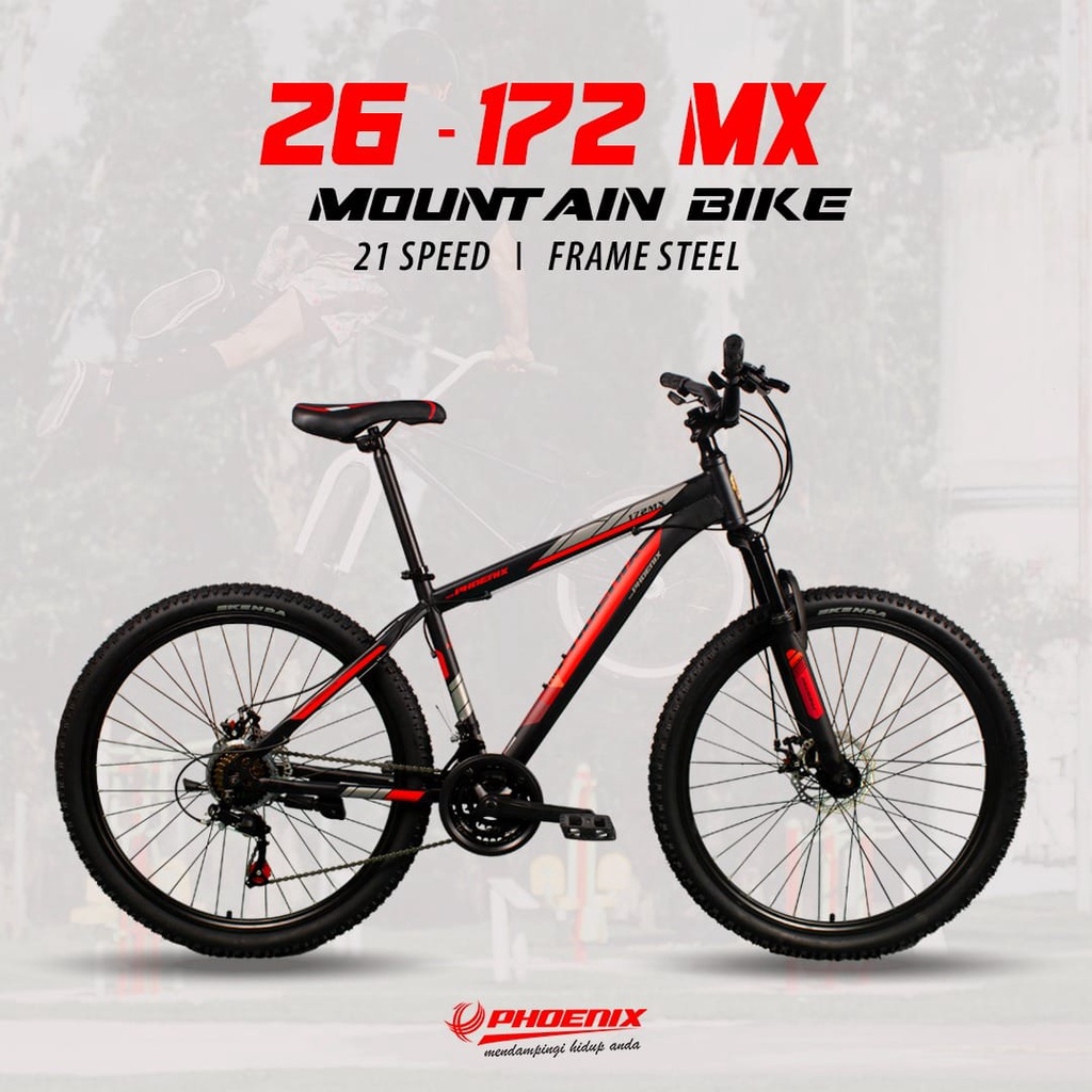 sepeda gunung MTB 26 Phoenix 172 double cakram speed shimano