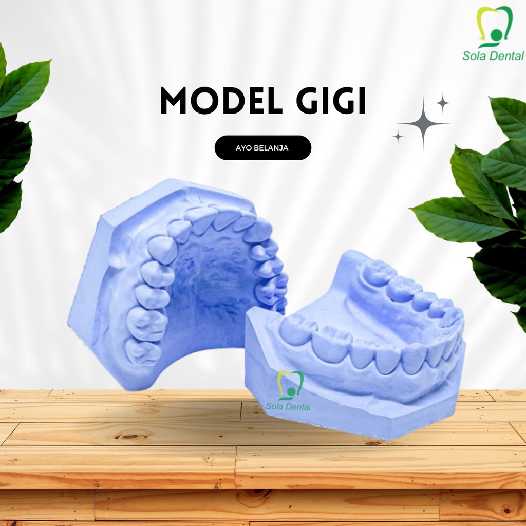 Model Gigi Biru / Model Gigi Gips