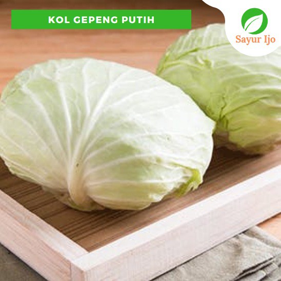 

Kol Gepeng / Sawi Putih 1500 - 2000 Gram / Pcs Fresh Kubis Besar White Cabbage Sayur Hijau Segar