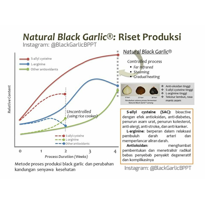 

Natural Black Garlic #Premium 100 gr Bawang Hitam Tunggal Lanang BPPT PROMO