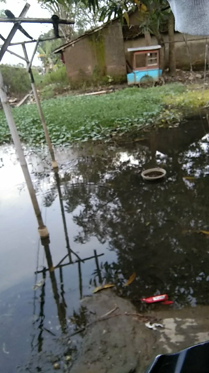 Hem, Lengan Pendek, Baju Batik, Batik Pekalongan, Atasan Pria, Seragam Batik #terbaru #top