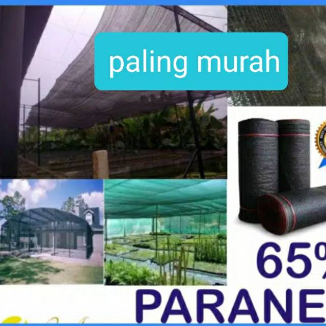 PARANET 65% UNTUK PENUTUP TANAMAN HALAMAN KEBUN