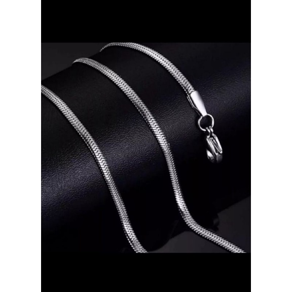 kalung belut silver titanium