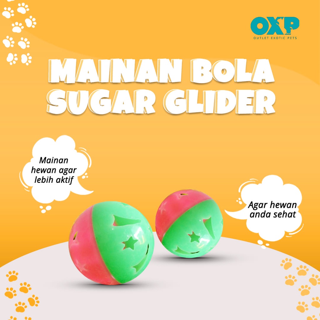 Mainan Bola Aksesoris Kandang Hewan Sugar Glider, Tupai