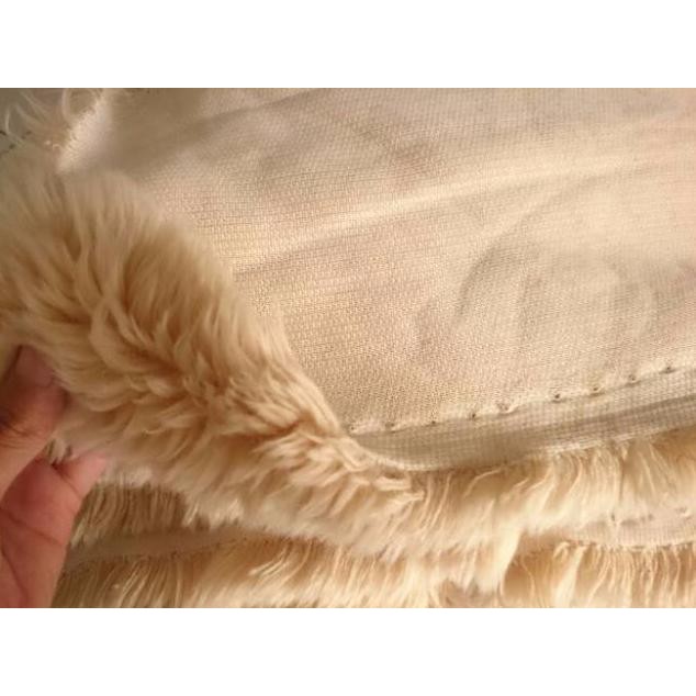 Termurah Bulu Kucing Warna Cream