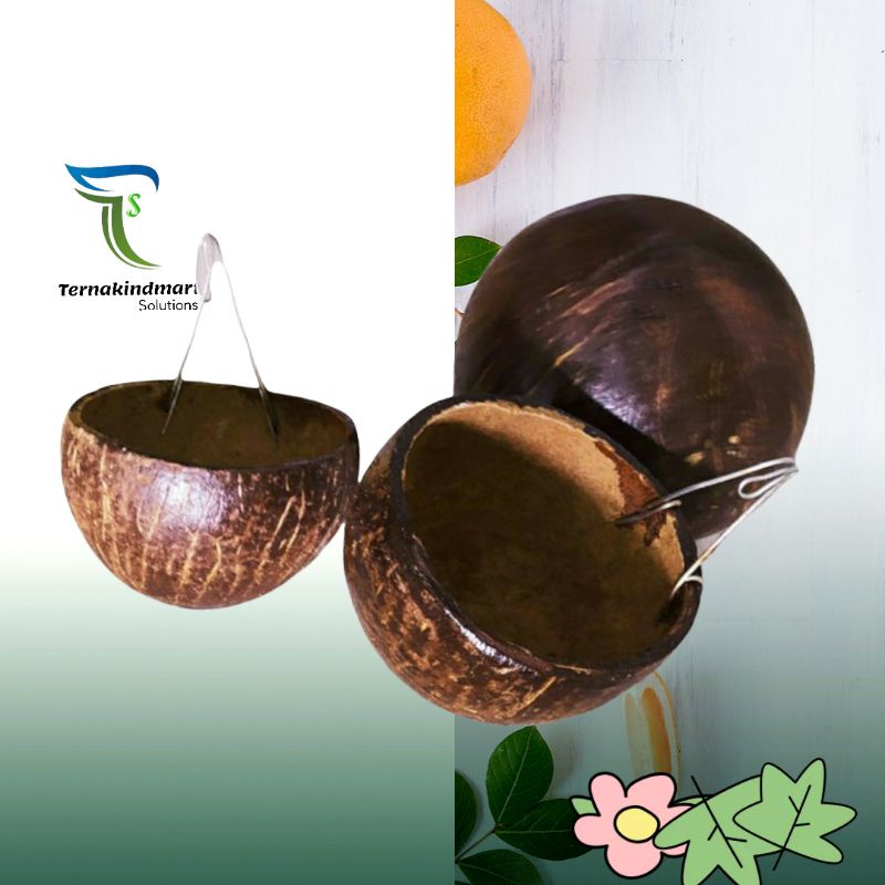 Tempat Minum makan Batok Kelapa