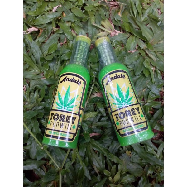 Skateboard Bearing Andale Torey Pudwill new not second / bekas