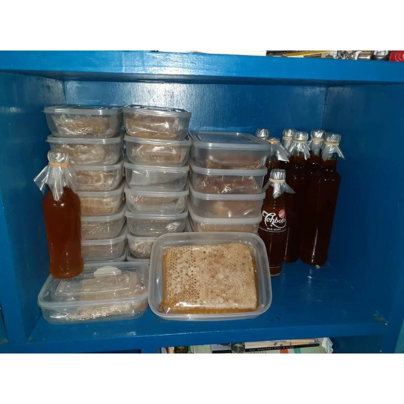 

madu murni/pure honey/ madu odeng/madu hutan