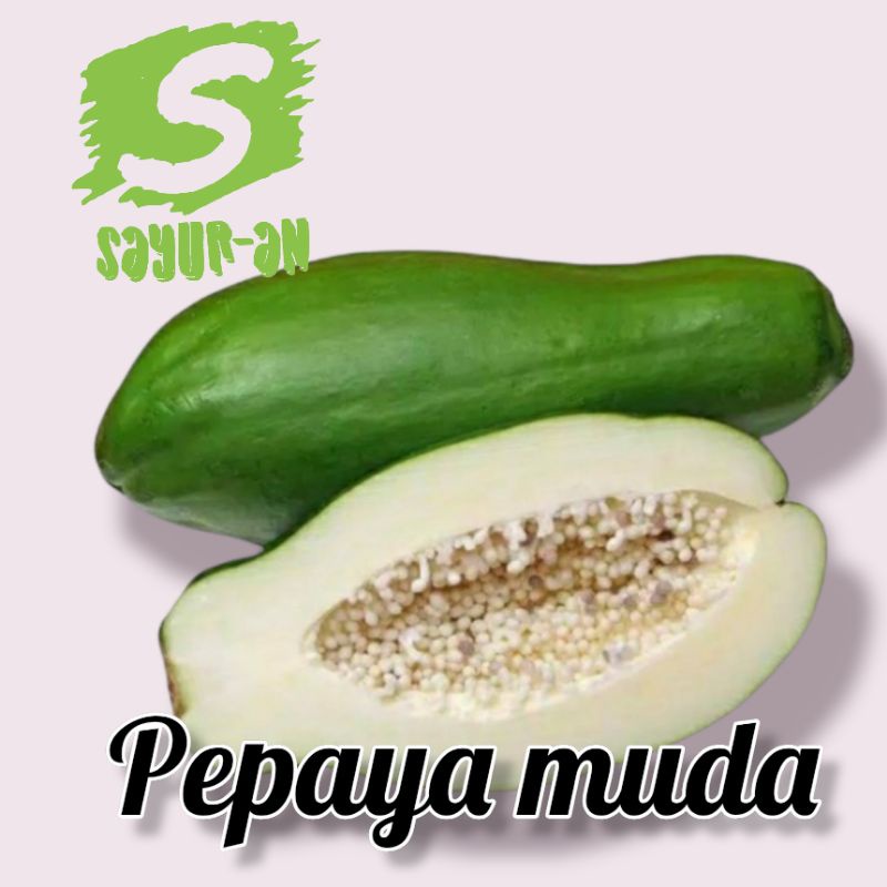 

pepaya muda