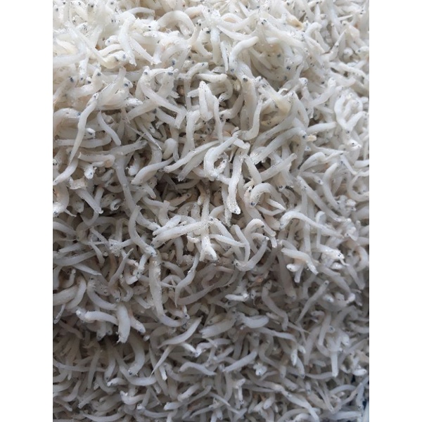 

IKANTERIMEDAN