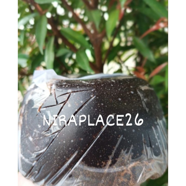 

1 kg Gula Batok Linggau