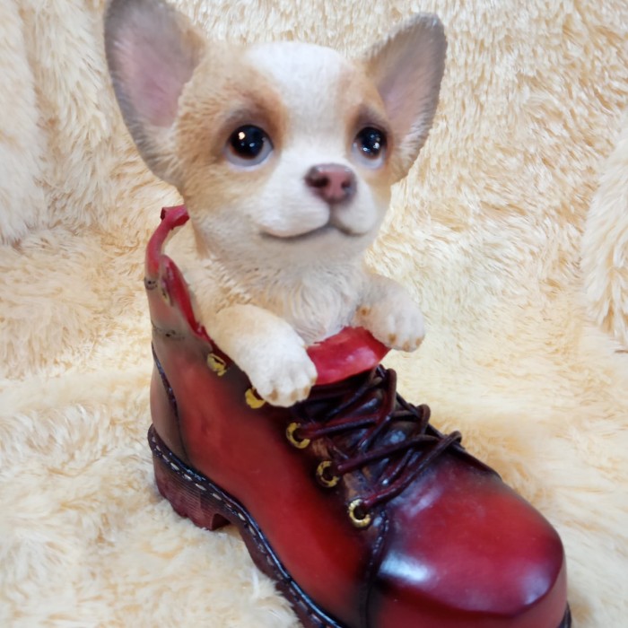 Mars_venus -  Patung Anjing Ciwawa Dalam Sepatu