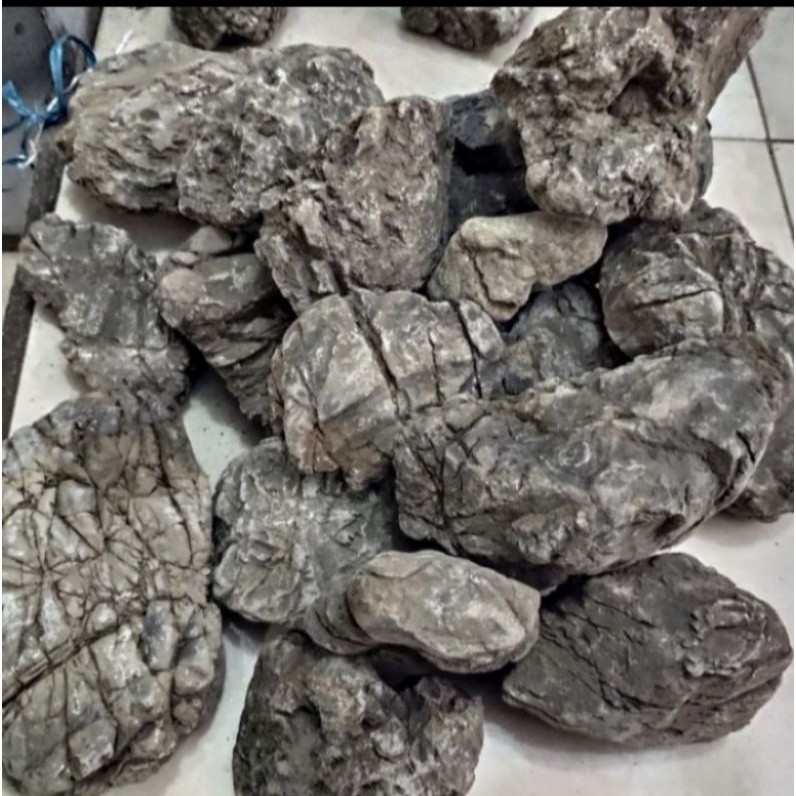 Batu Truli Truly Aquascape Aquarium Paludarium 1kg