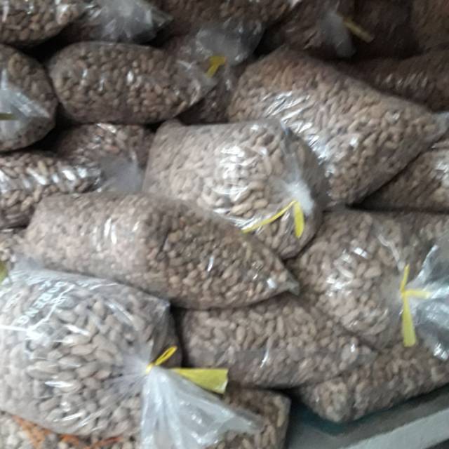 

Kacang kulit sangrai