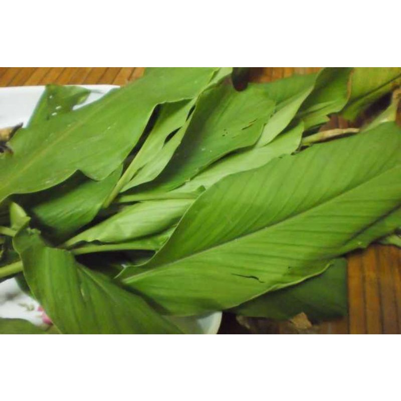 

Daun salam + daun kunyit + daun jeruk campur ( 1 ikat = +- 200 gram