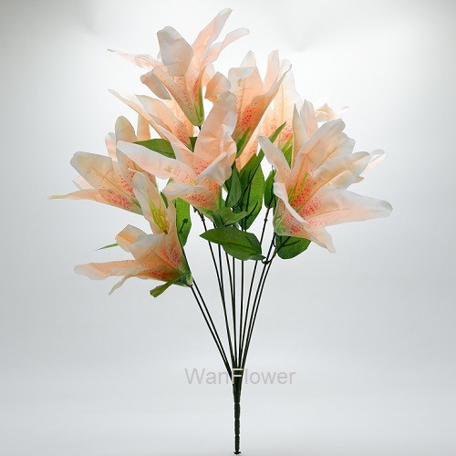 WANFLOWER Bunga Lily X10 * CHAMPAGNE