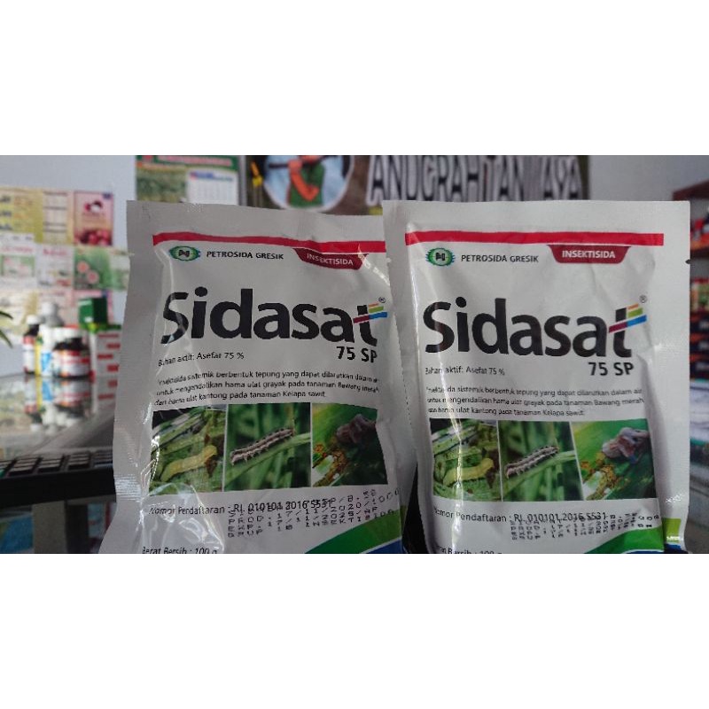 INSEKTISIDA ASEFAT 75SP SIDASAT 100gr