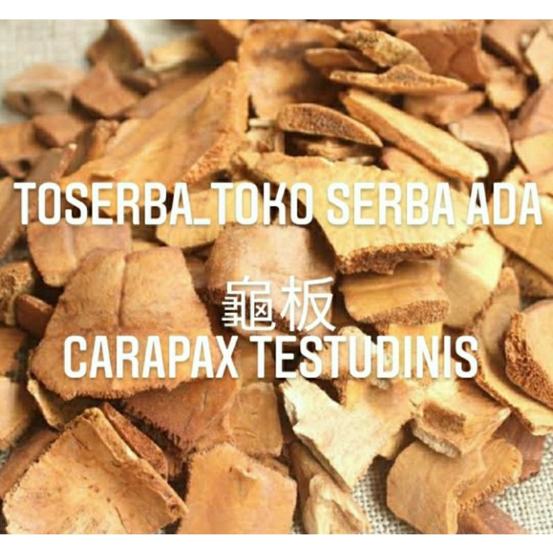 

100gr Herbal Chao Gui Ban 炒龜板 Carapax Testudinis Grade A