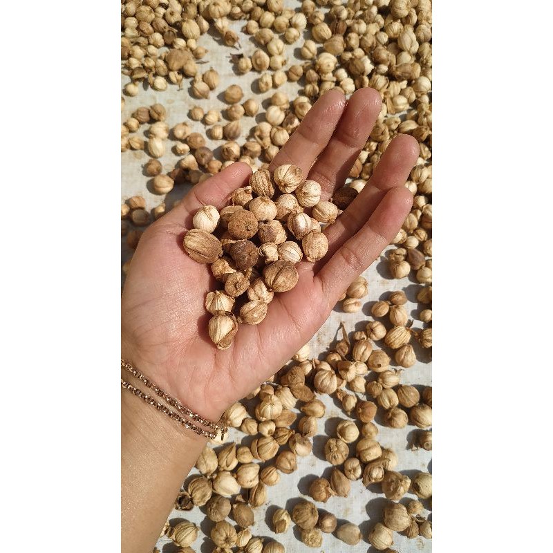 

kapulaga kapol kering 1 kg