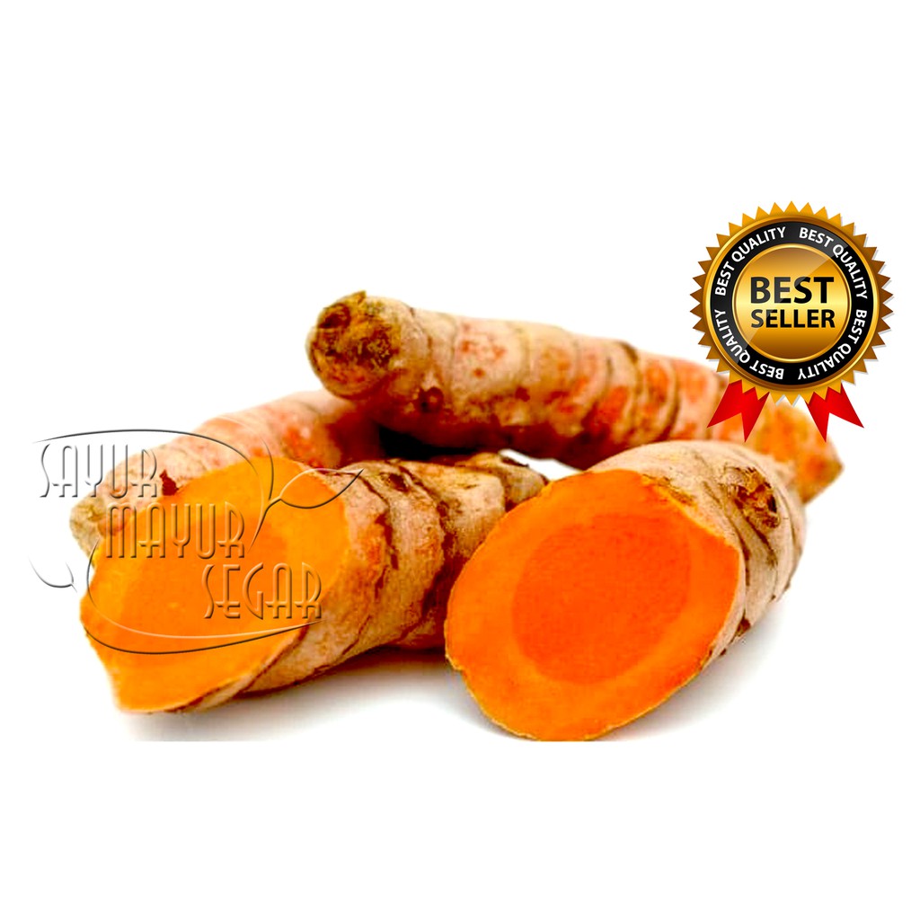 

KIRIM INSTAN KUNYIT KUNING FRESH (SAYUR CURAH)