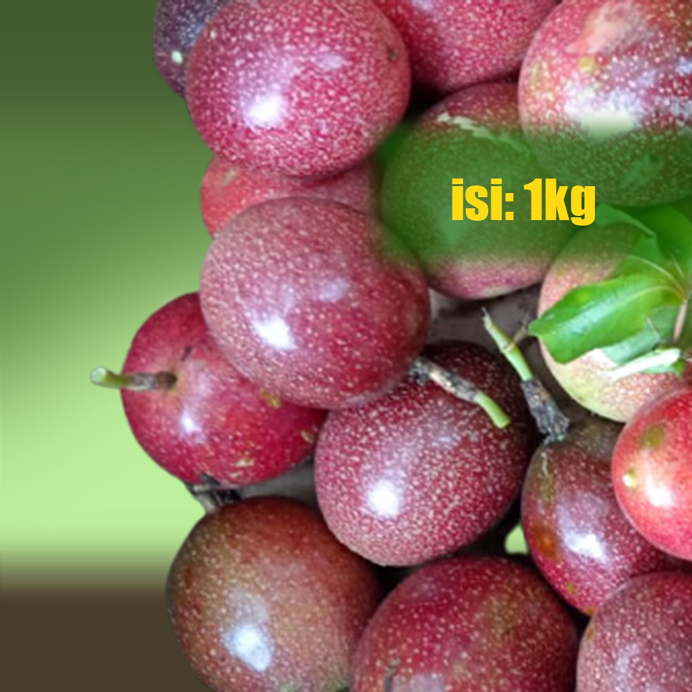 

BUAH MARKISA UNGU SEGAR 1 KG PASSIFLORA EDULIS