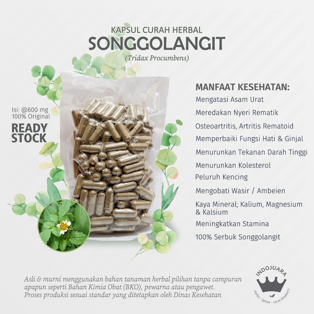 

SONGGOLANGIT 100 Kapsul Curah Herbal Asam Urat Osteoartritis Wasir Kolesterol Ginjal Hati Luka 600mg