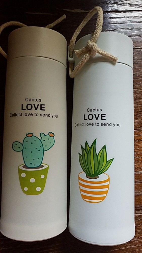 Botol Minum Kaktus Botol Minum Kaca