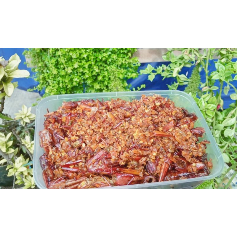 

belalang goreng pedas gurih 200 gram