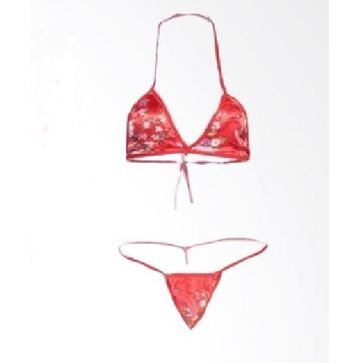 sexy Bra Lingerie Bikini G-String Bra A156