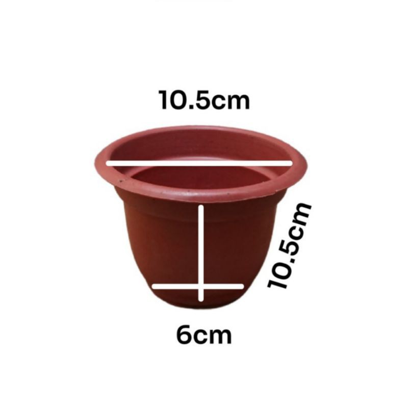 POT BUNGA ROSE MAWAR NO 6 - Diameter 10 CM