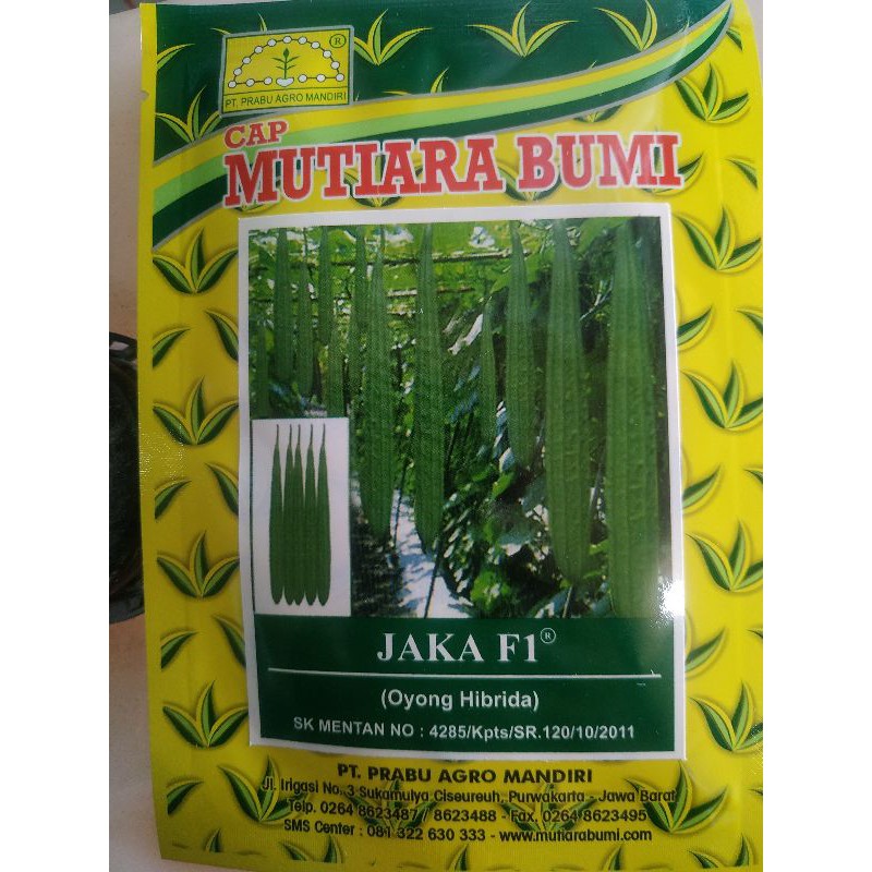 Benih Oyong/gambas Jaka F1 Mutiara Bumi 10g