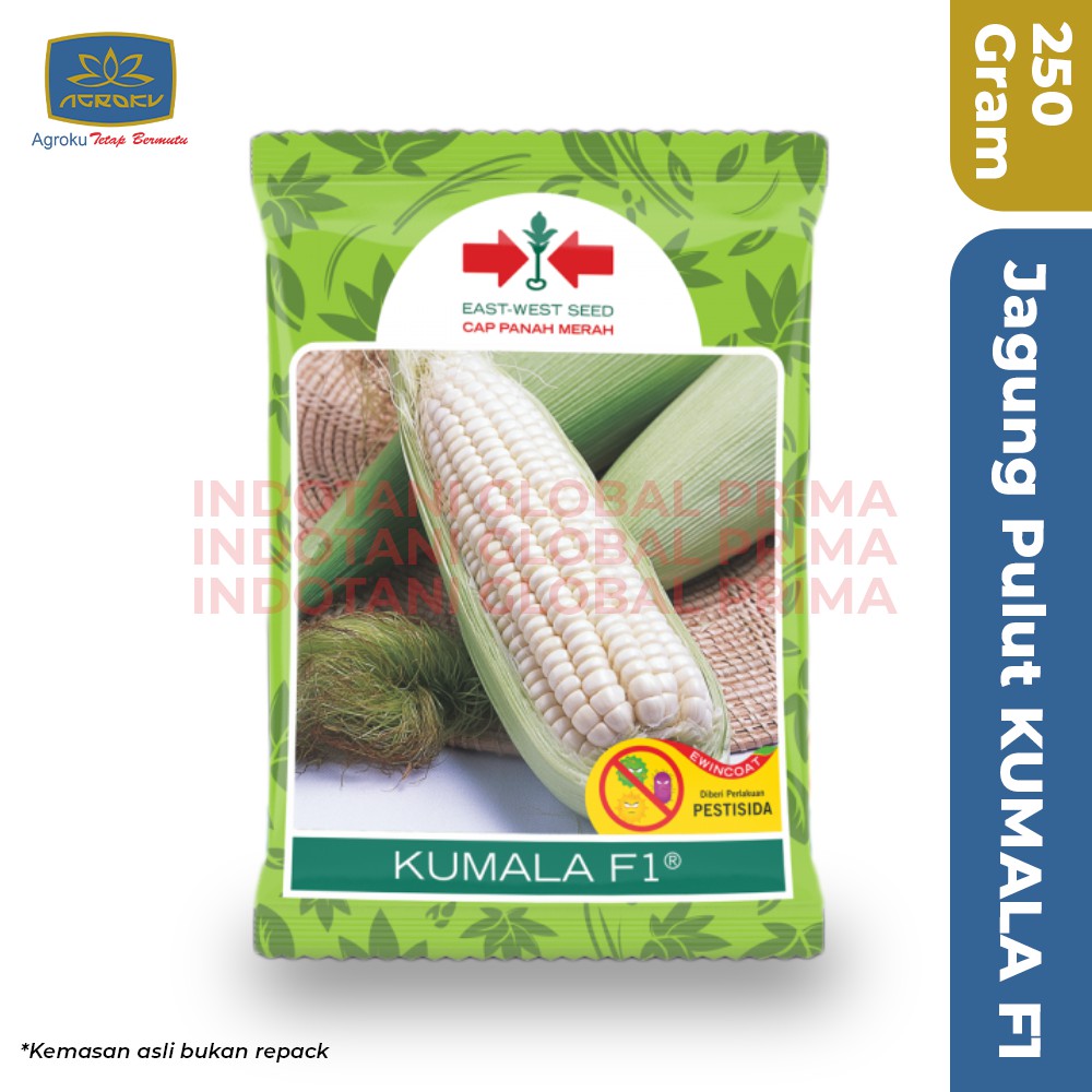 Benih Jagung Pulut Manis KUMALA Isi 250 gram - Cap Panah Merah