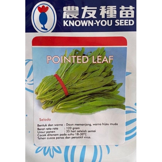 SELADA POINTED LEAF 20 GRAM PACK BESAR bibit benih biji selada hijau siomak fumak wangi f1 hibrida known you seed