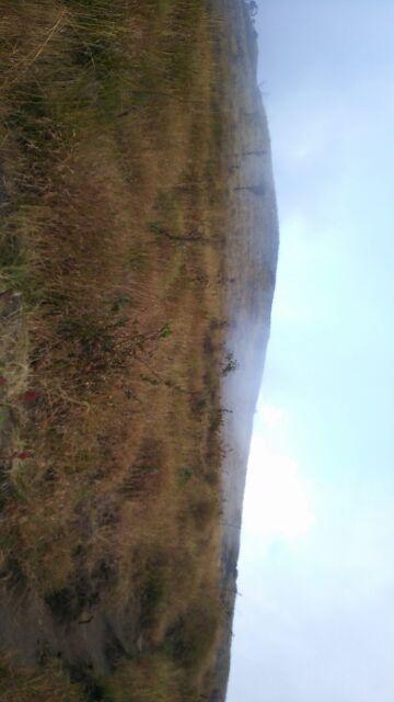 Handle Pintu Rumah Gagang Pintu Rumah Tarikan Pintu Rumah