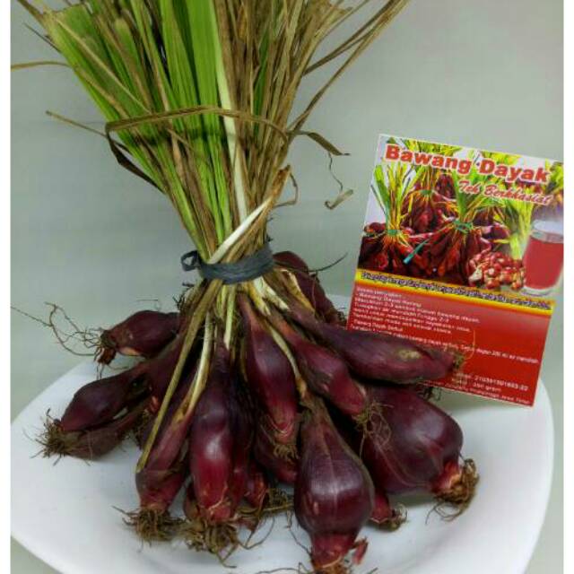 BAWANG DAYAK 1KG/ BAWANG DAYAK BASAH /BAWANG DAYAK SEGAR /BAWANG KALIMANTAN