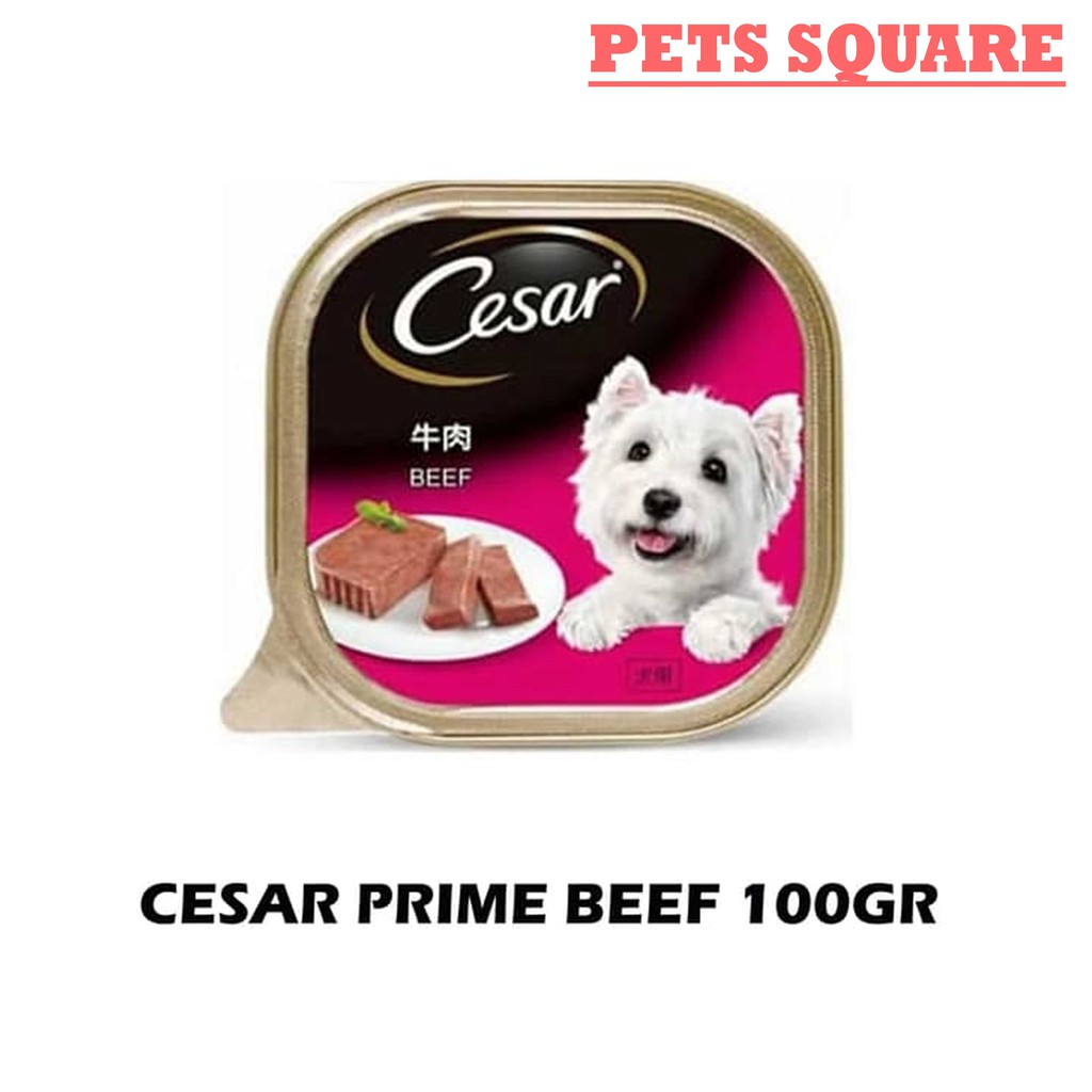 MAKANAN ANJING CESAR PRIME BEEF 100GR