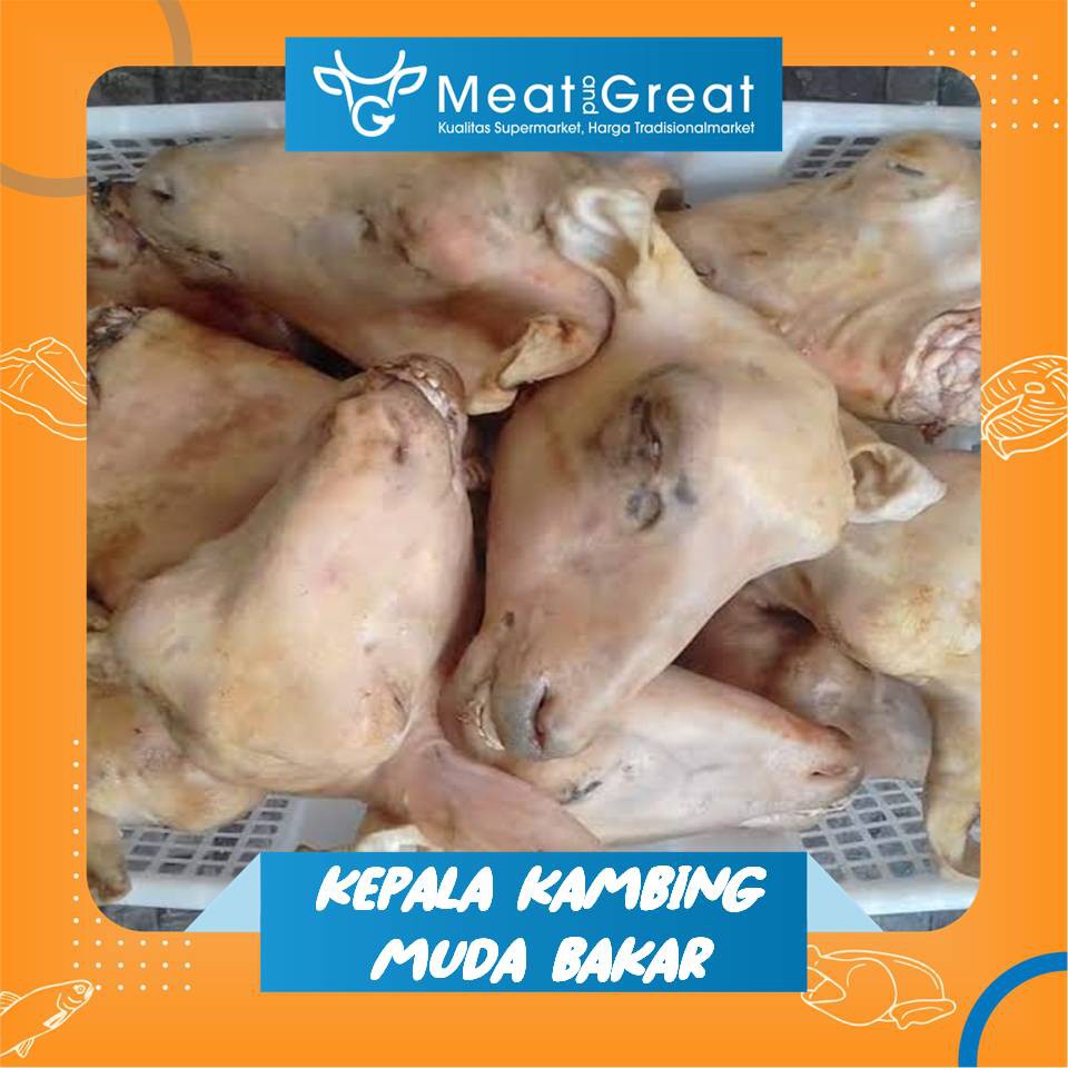 Kepala Kambing Muda Segar Utuh