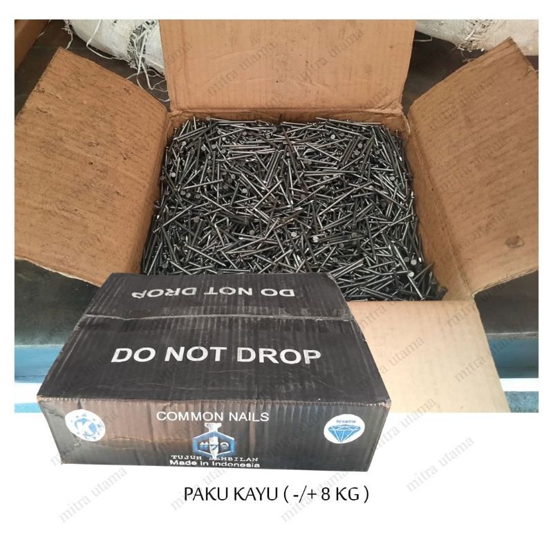 Paku Kayu Biasa Per Dus