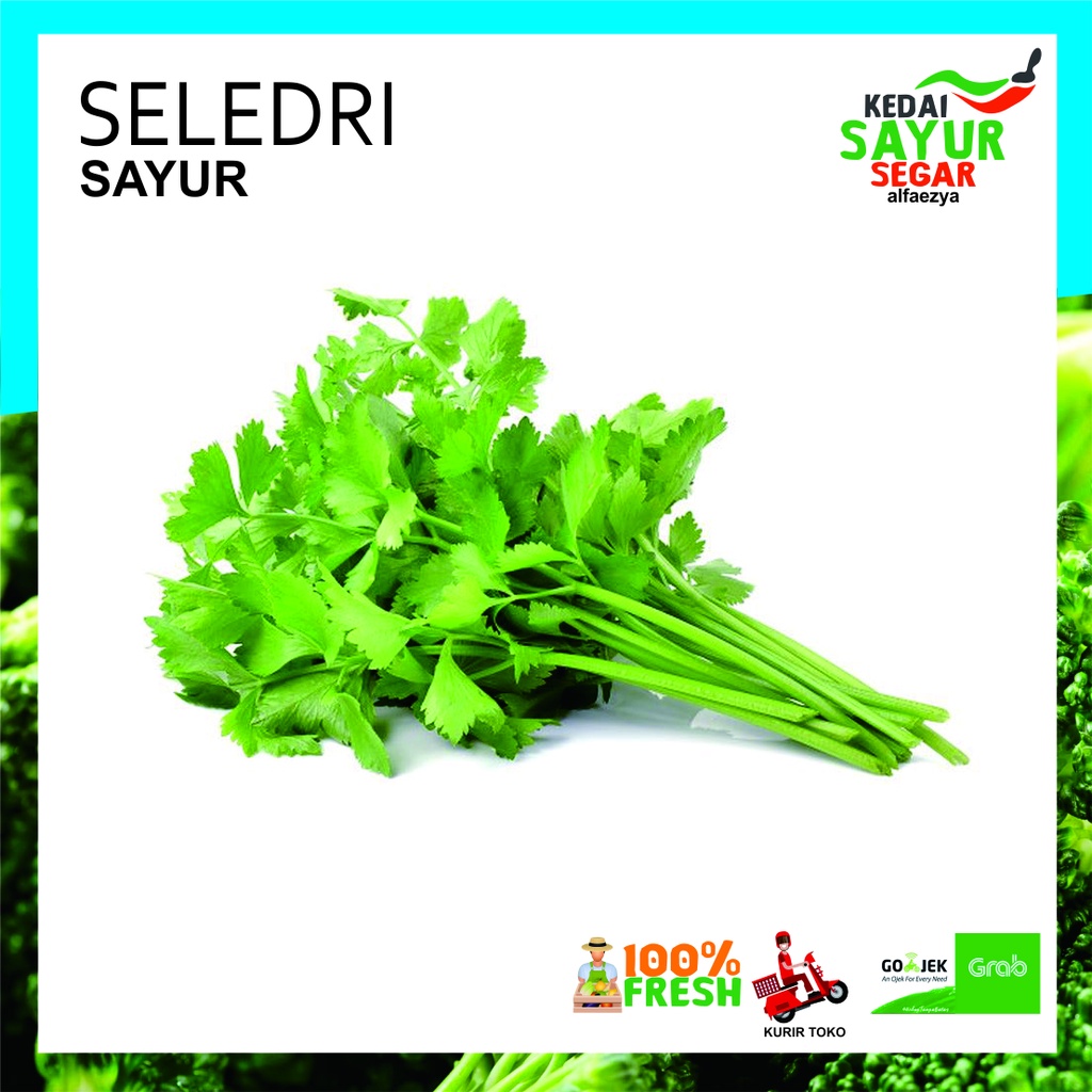 

SELEDRI Sayur Segar Repack 250gr / 500gr /1000gr