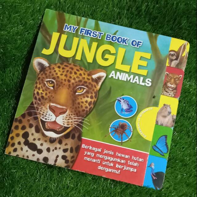 My first Book of jungle animals