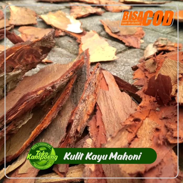 

Kulit Kayu Mahoni Pewarna Alami Btik Tulis Indonesia 500gram