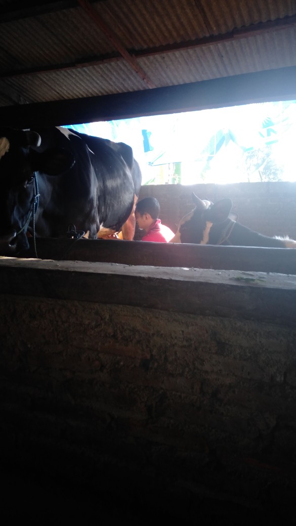 Sprei Waterproof Emira Size 180x200x27cm