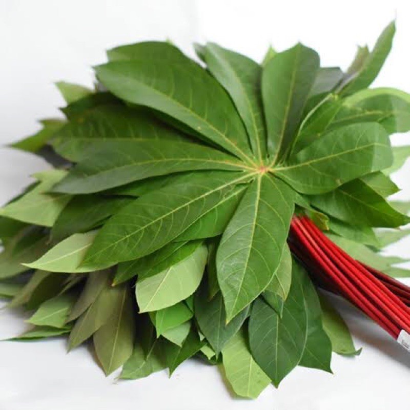 

Daun Singkong Organik 200g